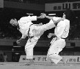 JKA WF Chicago Karate Institute, Inc